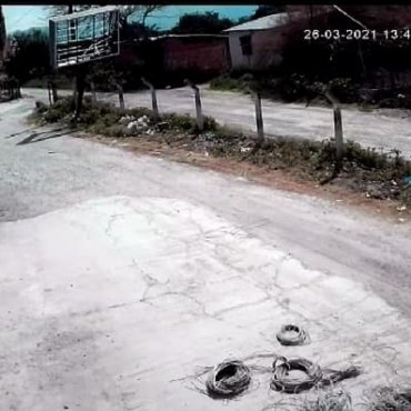 Tava Tavukçuluk